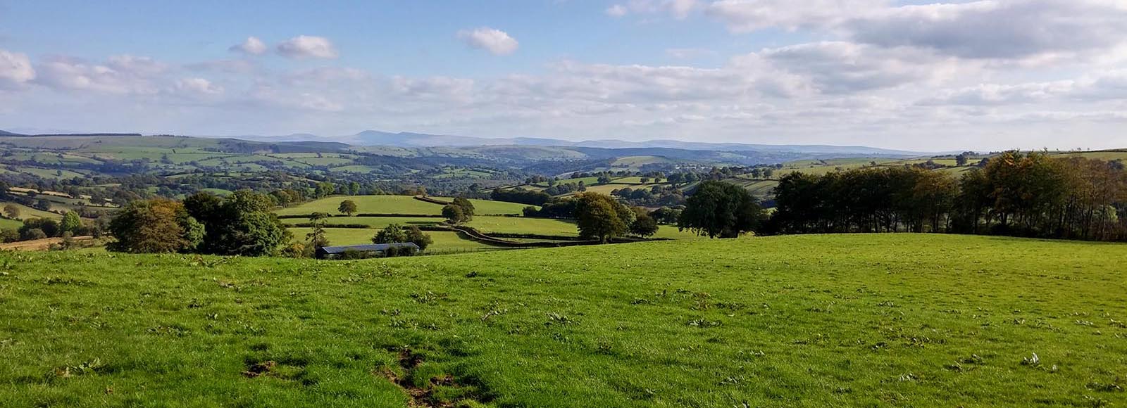 Teifi Valley