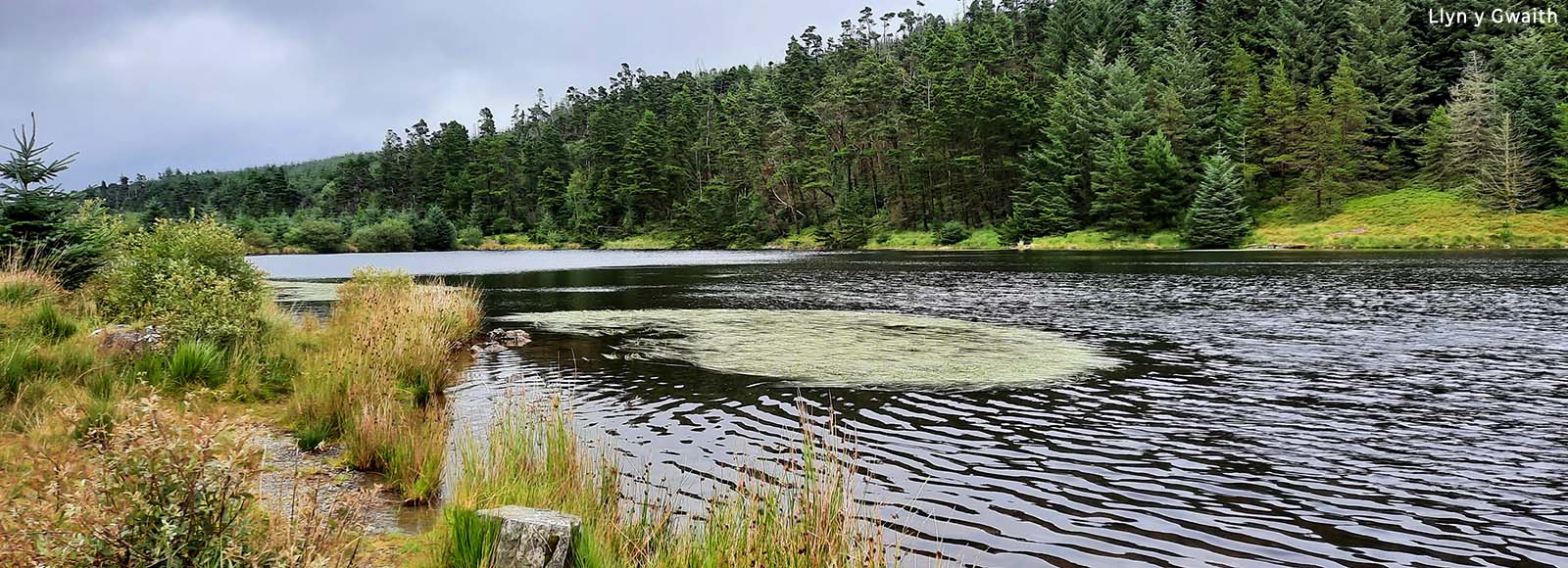 Llyn y Gwaith