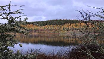 Strathpeffer and Contin Better Cable Route