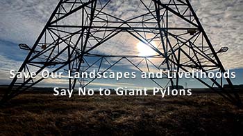 Action Against Pylons: Scottish Borders Alliance